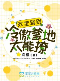 双宝来袭冷傲王爷追妻忙