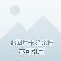 我本纯净的