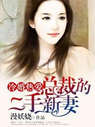 总裁的二婚新娘