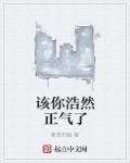 浩然正气是什么意思是什么意思