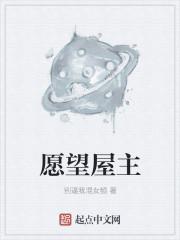 愿望 原神