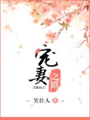 宠妻之路笑佳人txt