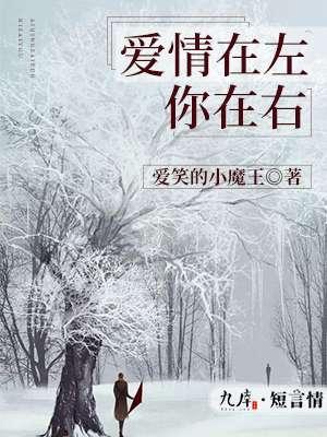 爱在左情在右dj