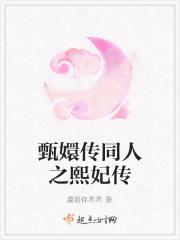 甄嬛传之贤妃