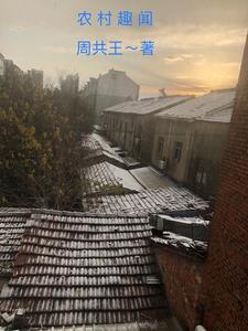 学霸终结者无防盗